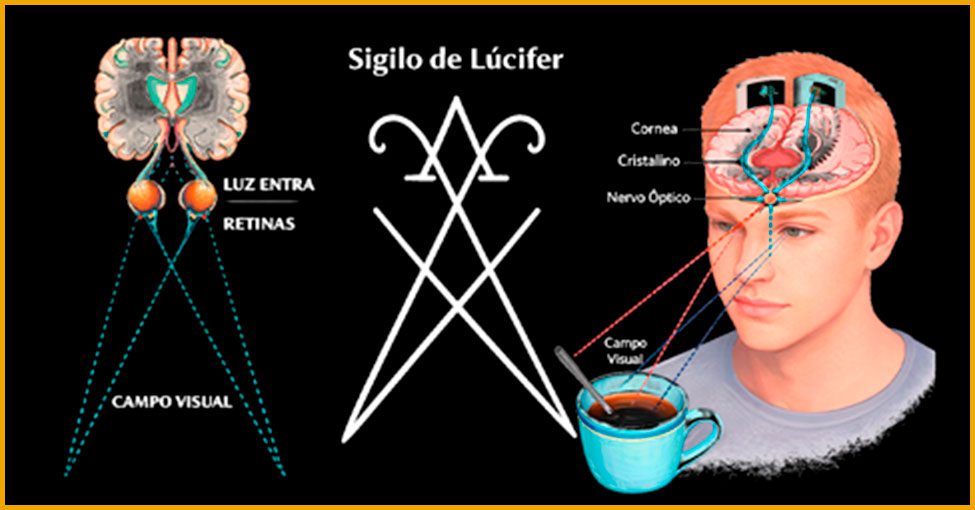 Tudo o que você chama de mundo chega até você na forma de luz. Não existe cor sem fótons, não existe forma sem contraste luminoso, não existe imagem sem vibração eletromagnética sendo captada pela retina e traduzida pelo cérebro. Antes de qualquer objeto ser reconhecido como objeto, ele é apenas energia propagando-se no espaço. O que vemos não é a “coisa em si”, mas a interação entre radiação luminosa e um sistema nervoso capaz de interpretá-la. A solidez que percebemos é, antes de tudo, uma experiência sensorial organizada internamente.